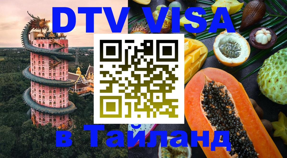 Сколько стоит DTV виза — актуальные цены, оформление даже без документов - Набережные Челны 